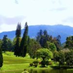 Tempat Piknik di Cibodas Cianjur yang Hits dan Banyak Dikunjungi
