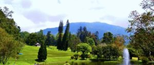 Tempat Piknik di Cibodas Cianjur yang Hits dan Banyak Dikunjungi