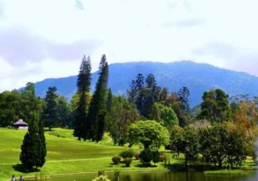 Tempat Piknik di Cibodas Cianjur yang Hits dan Banyak Dikunjungi