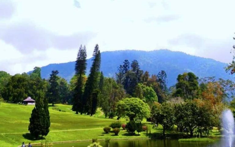 Tempat Piknik di Cibodas Cianjur yang Hits dan Banyak Dikunjungi