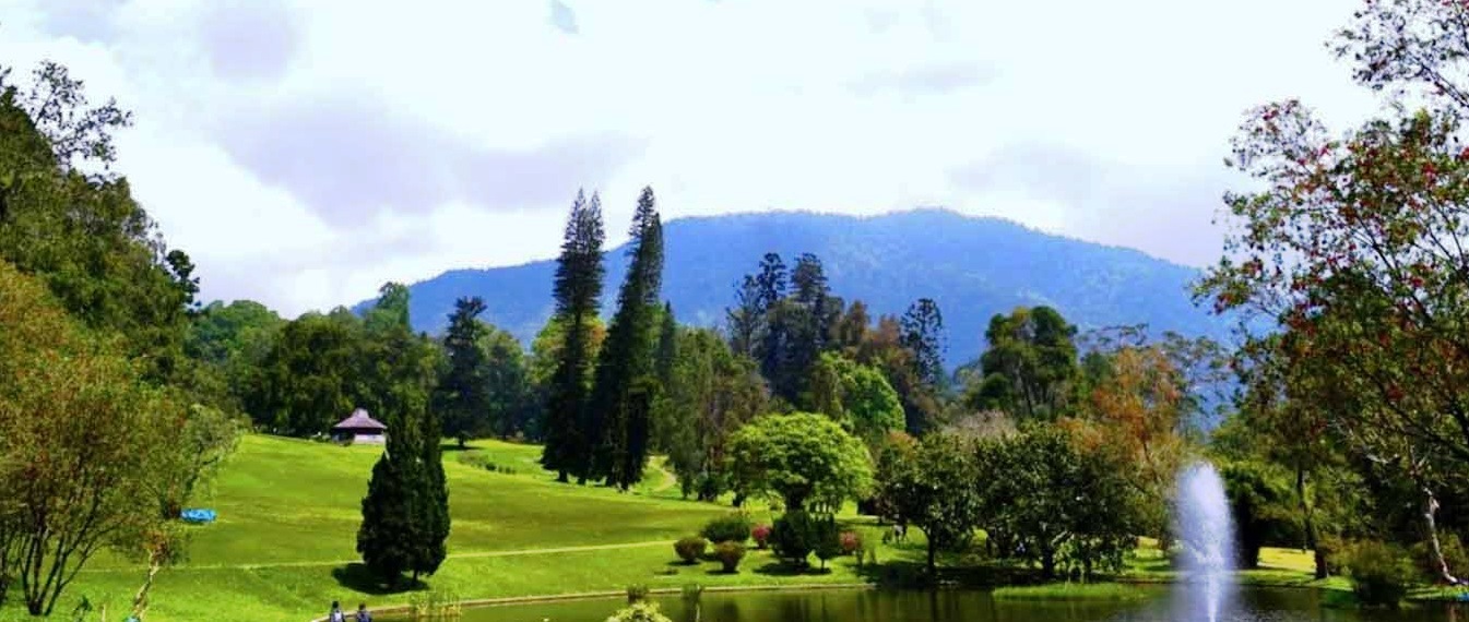 Tempat Piknik di Cibodas Cianjur yang Hits dan Banyak Dikunjungi